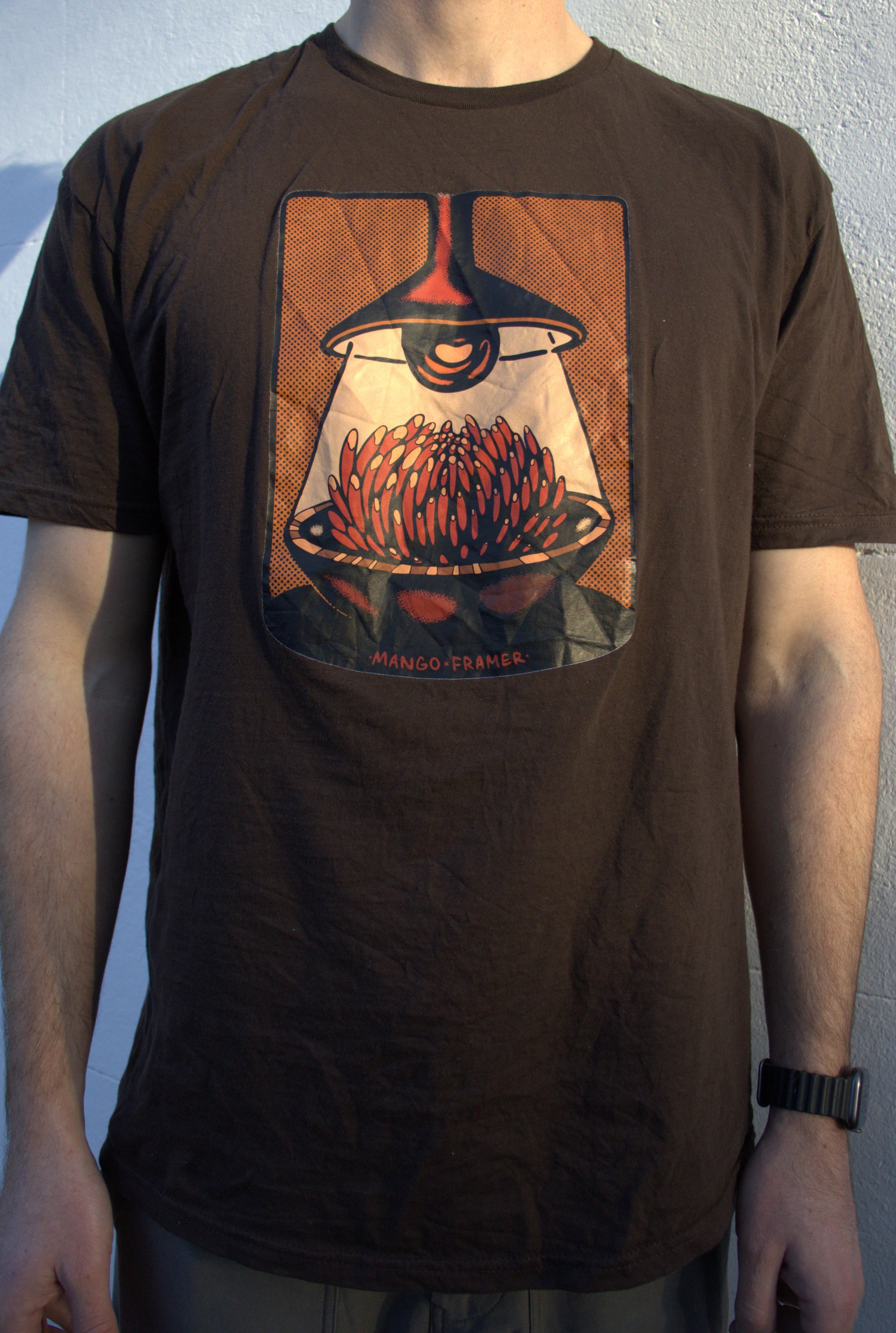 FRAMER X MANGO TEE