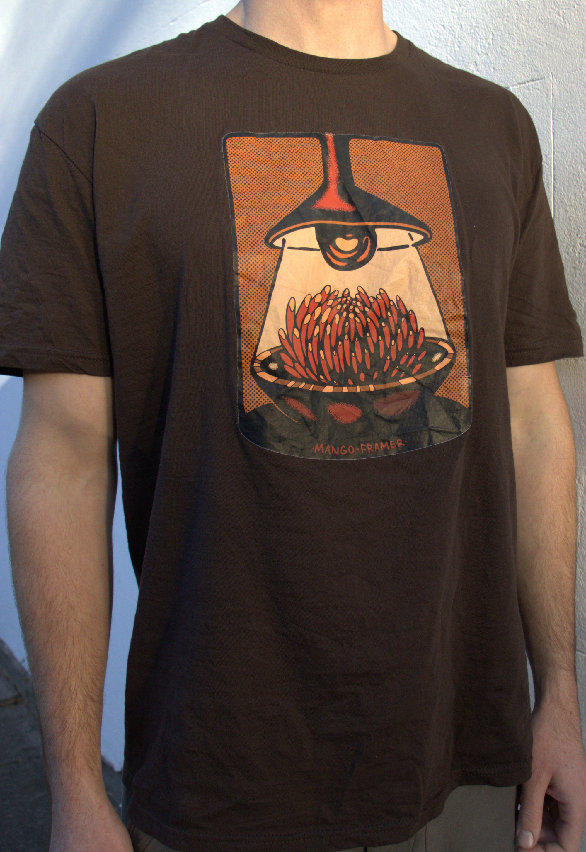 FRAMER X MANGO TEE
